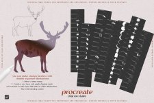 preview-06.jpg