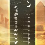 preview-03.jpg