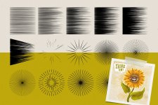preview-12.jpg