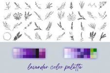 preview-02.jpg