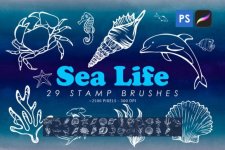 Sea Life 01.jpg