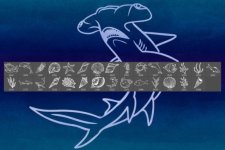 Sea Life 02.jpg