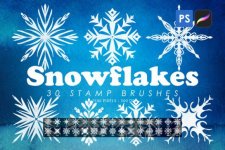 Snowflakes 01.jpg