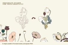 preview-04.jpg