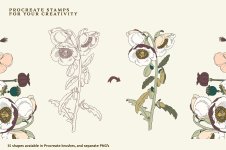 preview-07.jpg