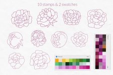 Peony-02.jpg