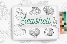 Seashell-01.jpg