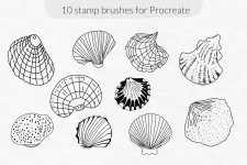 Seashell-02.jpg