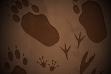 preview-05.jpg
