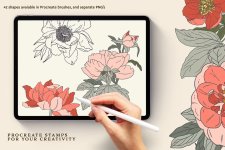 preview-06.jpg