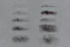 2 powder brushes.jpg