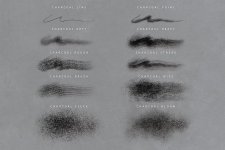 4 charcoal brushes.jpg