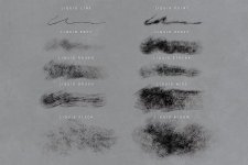 5 liquid brushes.jpg