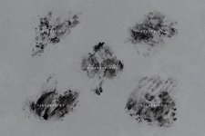 10 stamps 4.jpg