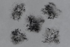 14 stamps 8.jpg