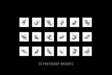 preview-03.jpg