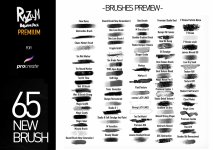 Razum Brush Pack Premium.jpg