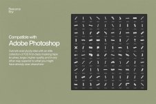preview-02.jpg