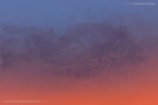 preview-06.jpg